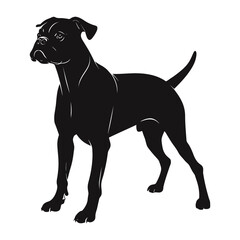 Fototapeta premium Boxer Silhouette