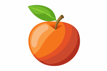 nectarine food vector illustration