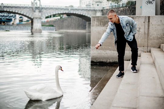 A man is feeding a swan by the water. The scene is peaceful and serene, with the man and the swan sharing a moment of connection