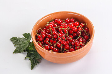 Sweet ripe red currant berries