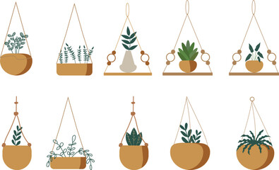 hanging plant minimalist house vector illustration