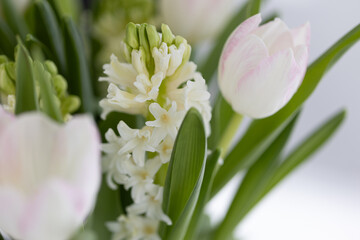 Tulpen und andere Blumen in Vase