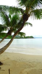 Seychelles, Mahé Islands, Anse l'Islette beach in Port Launay