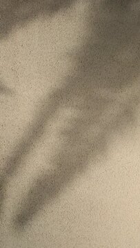Vertical clip of shadows of palm leaves moving gently in the wind on concrete wall