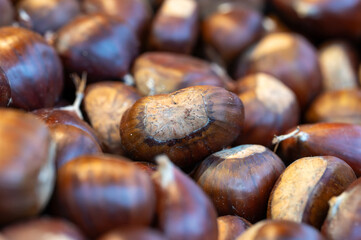 Chest of Chestnuts
