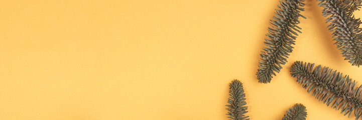 Banner with green nobilis fir branches on a gold colored background. Place for text.