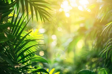 Fotobehang Sunlight on tropical forest © grey