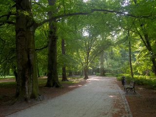 Walking path in the park