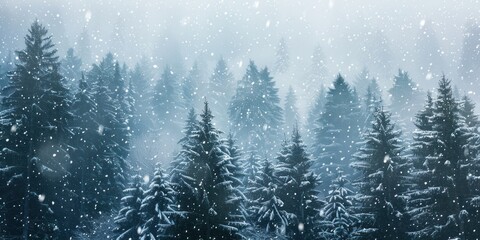 Beautiful photo of snow forest background