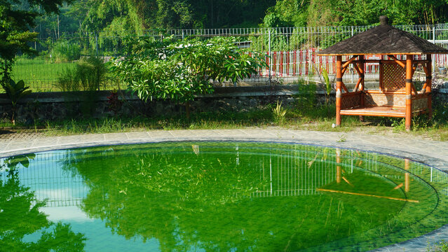 pond and gazebo in the park