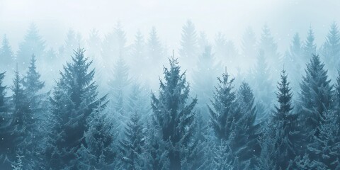 A photography of winter forest background 