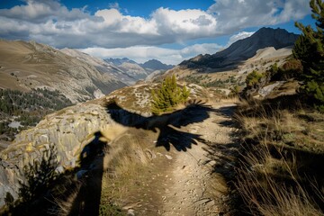 eagles shadow over mountain trails with person walking