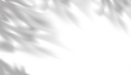 Leaves shadow with light,illustration isolated Branches leaves surface elements design for overlay on Studio Background, Product design Podium Display