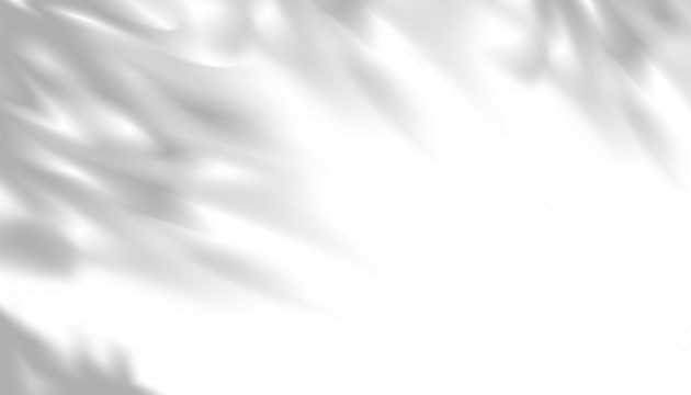 Leaves shadow with light,illustration isolated Branches leaves surface elements design for overlay on Studio Background, Product design Podium Display