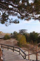 Fototapeta na wymiar Kaliningrad region. View of the Curonian Spit, from the height of the dune Efa. Special observation deck for tourists