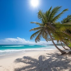 Fototapeta premium Palm trees in summer on a beach