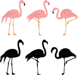 pink flamingos, in flat style vector