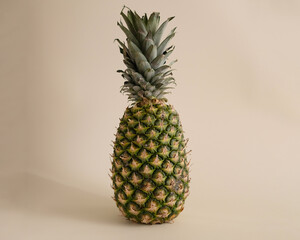 Ripe real pineapple in the center on a light background