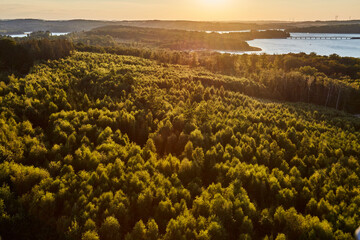M&ouml;hneseeturm, Naturpark, Arnsberger Wald, Gemeinde M&ouml;hnesee, Kreis Soest, Landkreis Soest, NRW, Deutschland, Germany, 2022 