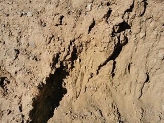 Closeup of sand for construction. piles of sand on a construction site.