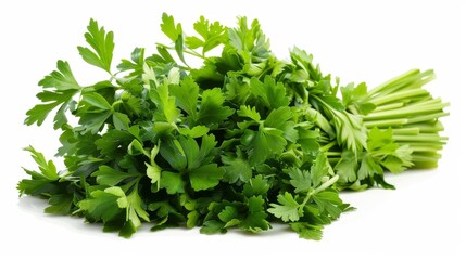 Isolated white background of fresh green vegan vitamin parsley - obrazy, fototapety, plakaty