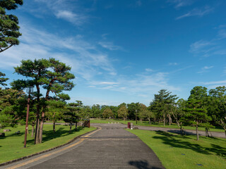 新緑が広がる真夏の奈良公園浮雲園地