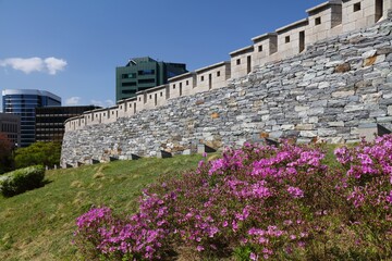 Fototapety na wymiar - Fototapeta24.pl