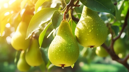Ripe yellow Pears hanging on a pear tree branch in garden, blurred background, copy space. Orchard background, copy space. Generative ai illustration