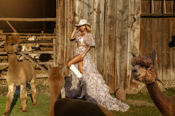 Beautiful young happy woman with cute alpacas on a spring day at the alpaca ranch. Pretty cowgirl...