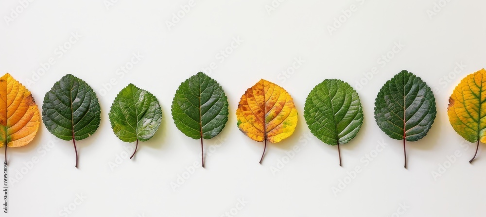 Poster beautiful white abstract minimalistic autumn background with elegant design elements