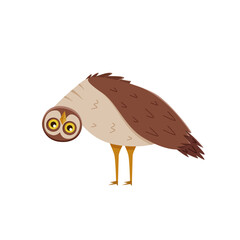Cute funny owl with tilted leaned head. Vector illustration of cartoon forest night bird. - 769548224