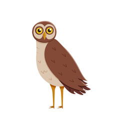 Cute funny owl with tilted leaned head. Vector illustration of cartoon forest night bird. - 769548489
