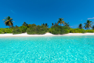 Tropical landscape with beautiful palm trees, turquoise ocean and blue sky with white sand beach on island in Maldives.