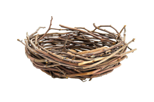 A Birds Nest of Twigs on a White Background