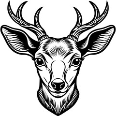 roe deer head vector design 