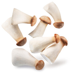 King oyster mushrooms or eryngii mushrooms levitating in air on white background. Close-up. - obrazy, fototapety, plakaty