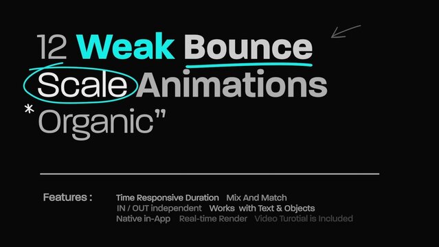 12 Weak Bounce Scale Title Animator Organic 