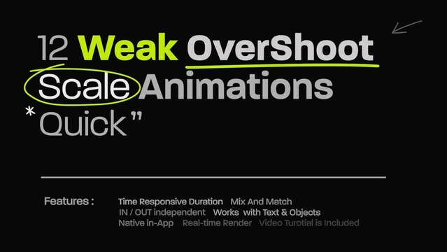 12 Weak OverShoot Scale Title Animator Quick