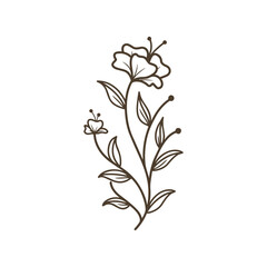 Fototapeta na wymiar Aesthetic Line Flower Vector Logo , Abstract Floral Vector , Beauty Flower Outline Vector Logo