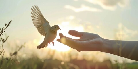 A person releasing a bird into the sky, representing the freedom and hope of letting go.  - obrazy, fototapety, plakaty
