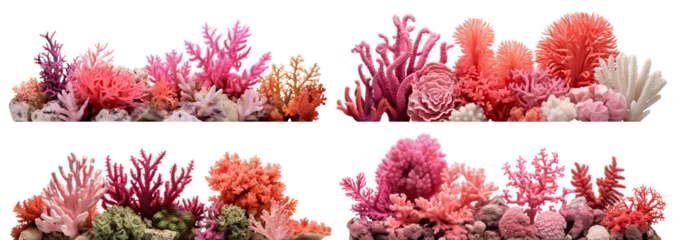 Foto auf Glas Set of coral reefs cut out © Yeti Studio