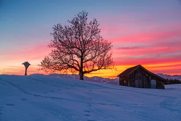 Foto op Canvas Allgäu - Winter - Sonnenuntergang - Stadel - Baum - romantisch - Chalet © Dozey