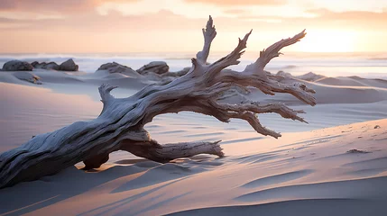 Sierkussen Rough tree trunk in desert landscape © Derby