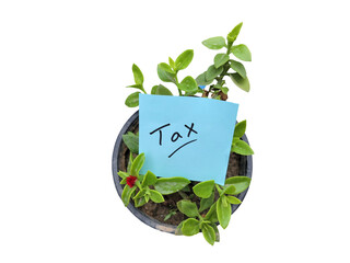 Tax on stocky note on plant