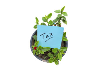 Tax on stocky note on plant