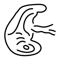 A linear style icon depicting fetal stage 