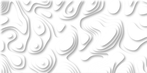 Fototapeta premium Abstract design with black and white abstract papercut and multi-layer cutout geometric pattern on vector Topographic canyon geometric map relief texture with curved layers beautiful design.