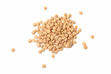 Brown lentils pile on white background. Dry brown lentil grains. Top view