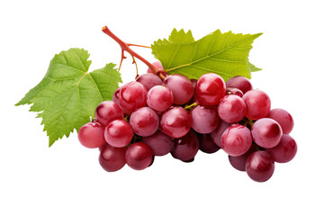 Luscious Cluster: Grapes and Leaves Dance on White Canvas. On a White or Clear Surface PNG Transparent Background.
