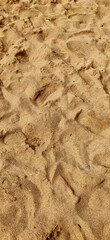 sand beach texture background